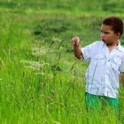 das besondere Wiesenblümchen..:))