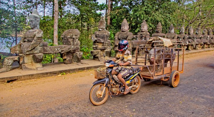 Das bestbewachte Schwein