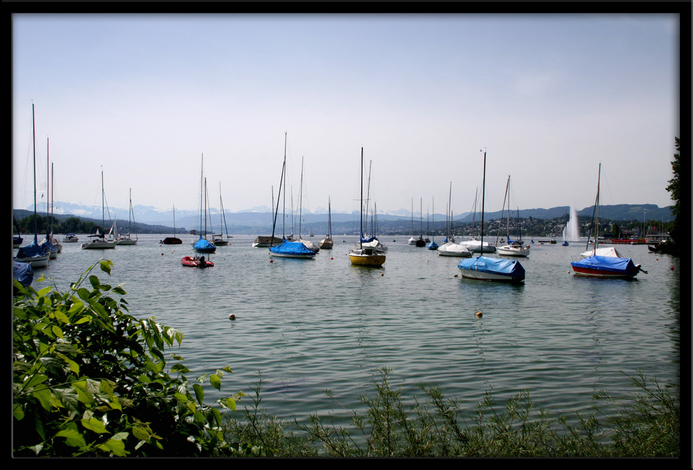 ...das beste an Zürich!