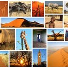 Das beste von Namibia