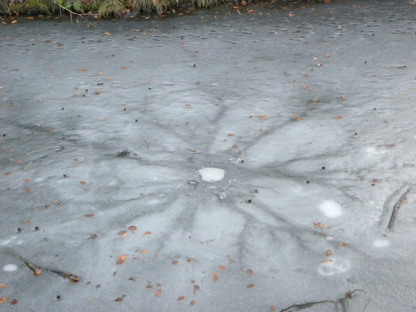 Das Betreten der Eisfläche ist verboten!