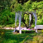 Das Bett im Wald 