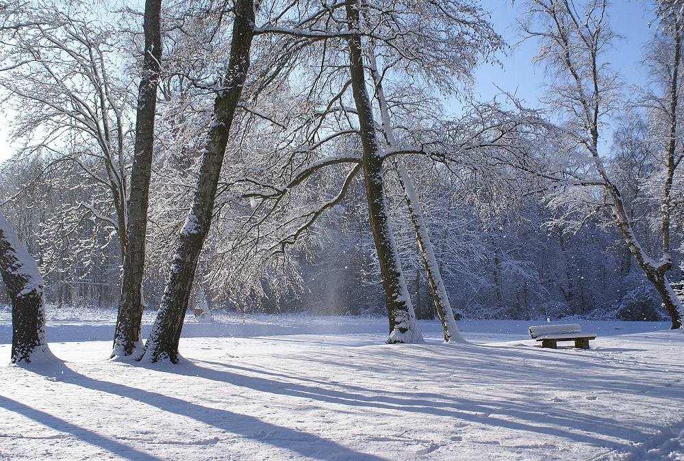 Das Bild ist noch da - der Schnee schon wieder weg