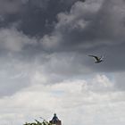 Das Bild mit den Wolken, der Möwe und dem Leuchtturm