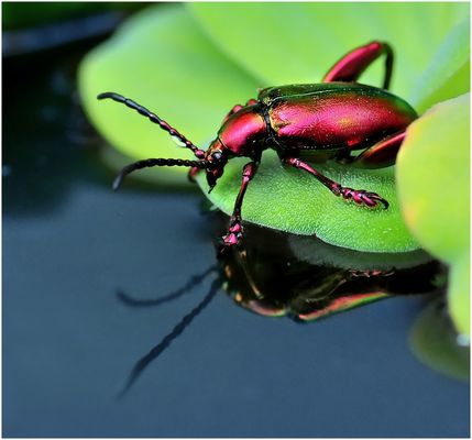 Das bin ich ? (Reloaded)