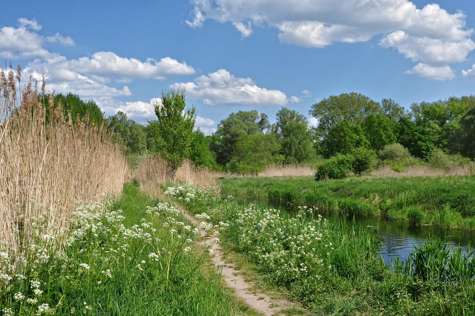 Das Biotop...., oder "Naturparadies"