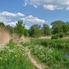 Das Biotop...., oder "Naturparadies"