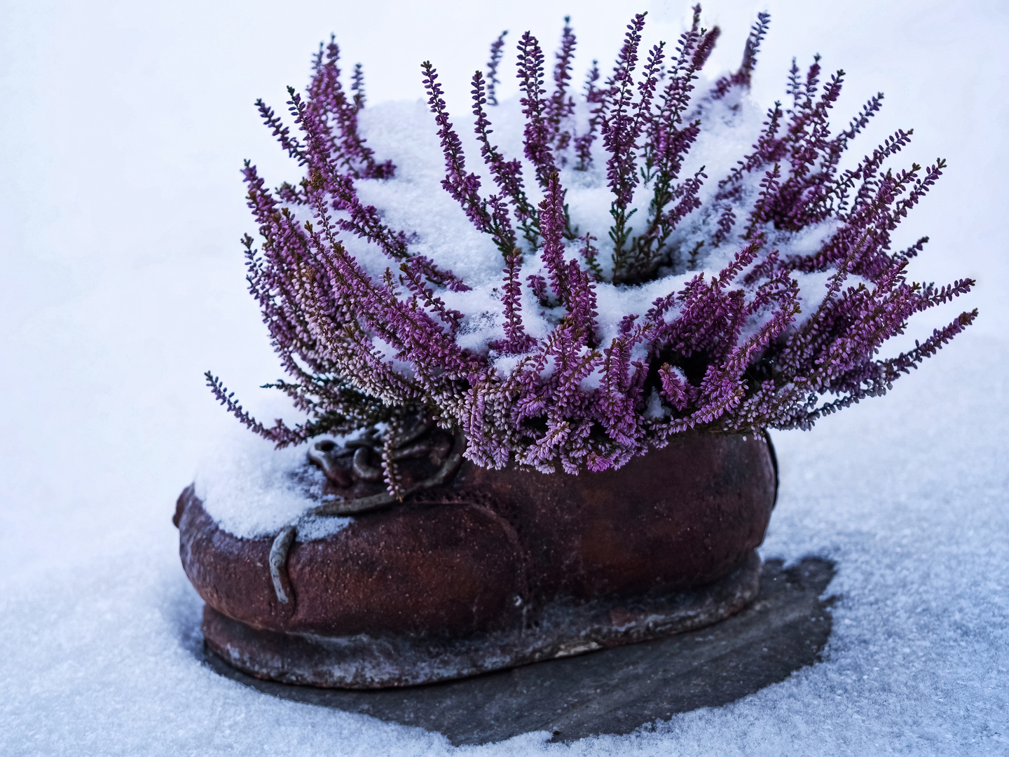 Das bißchen Schnee macht doch nichts