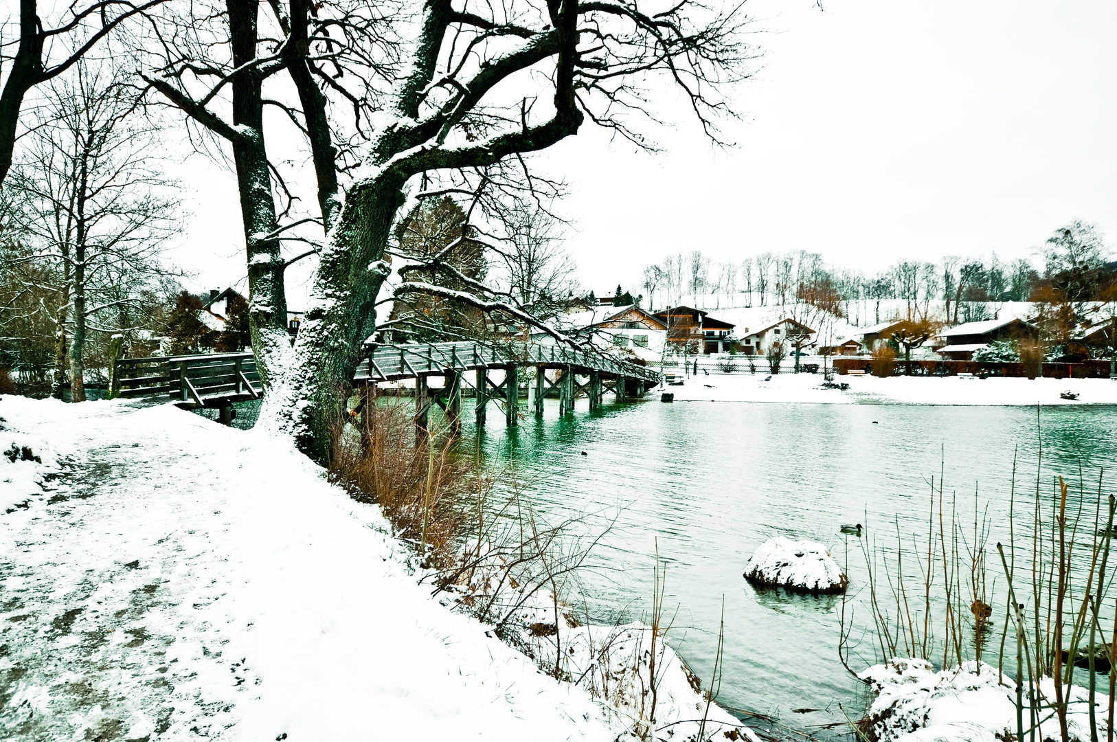 Das bisschen was vom Winter übrig blieb