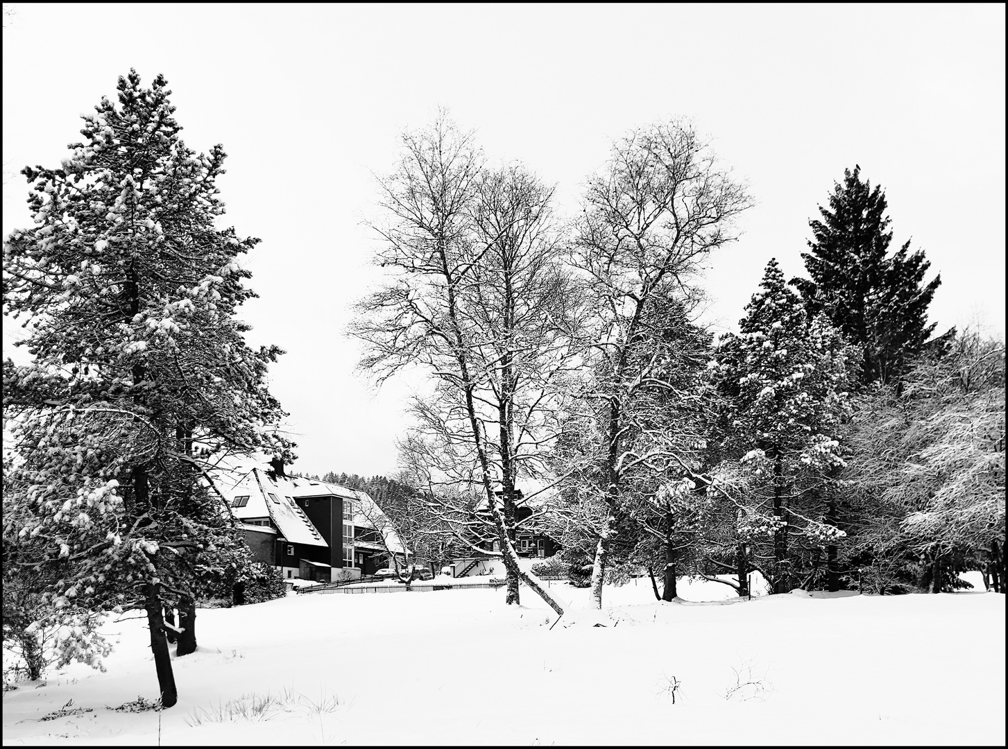 Das bisschen Winter