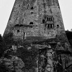 Das Blarney Castle...