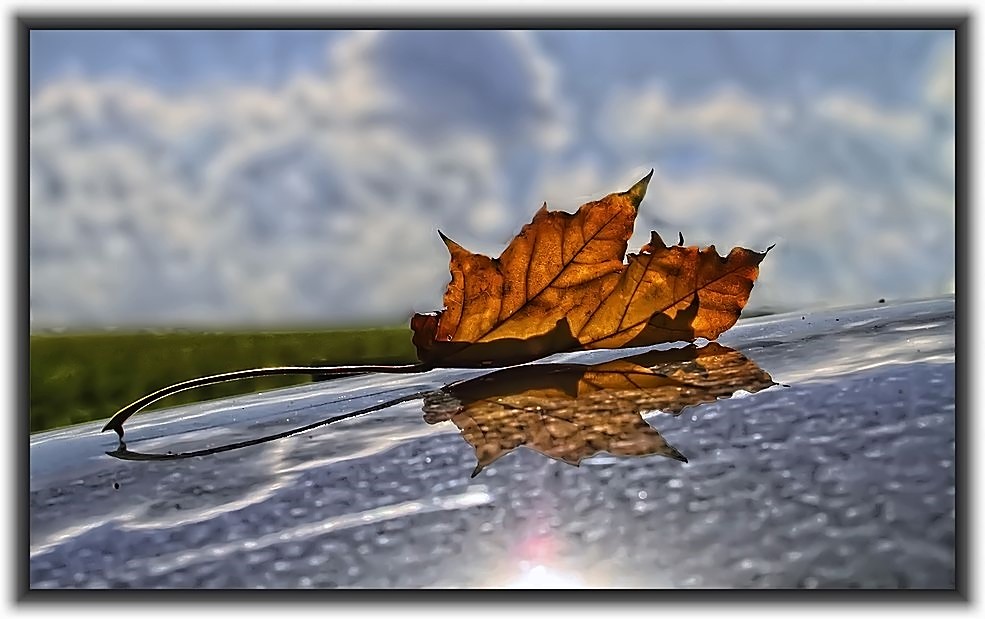 "Das Blatt auf dem Dach" - ein Pseudo - HDR