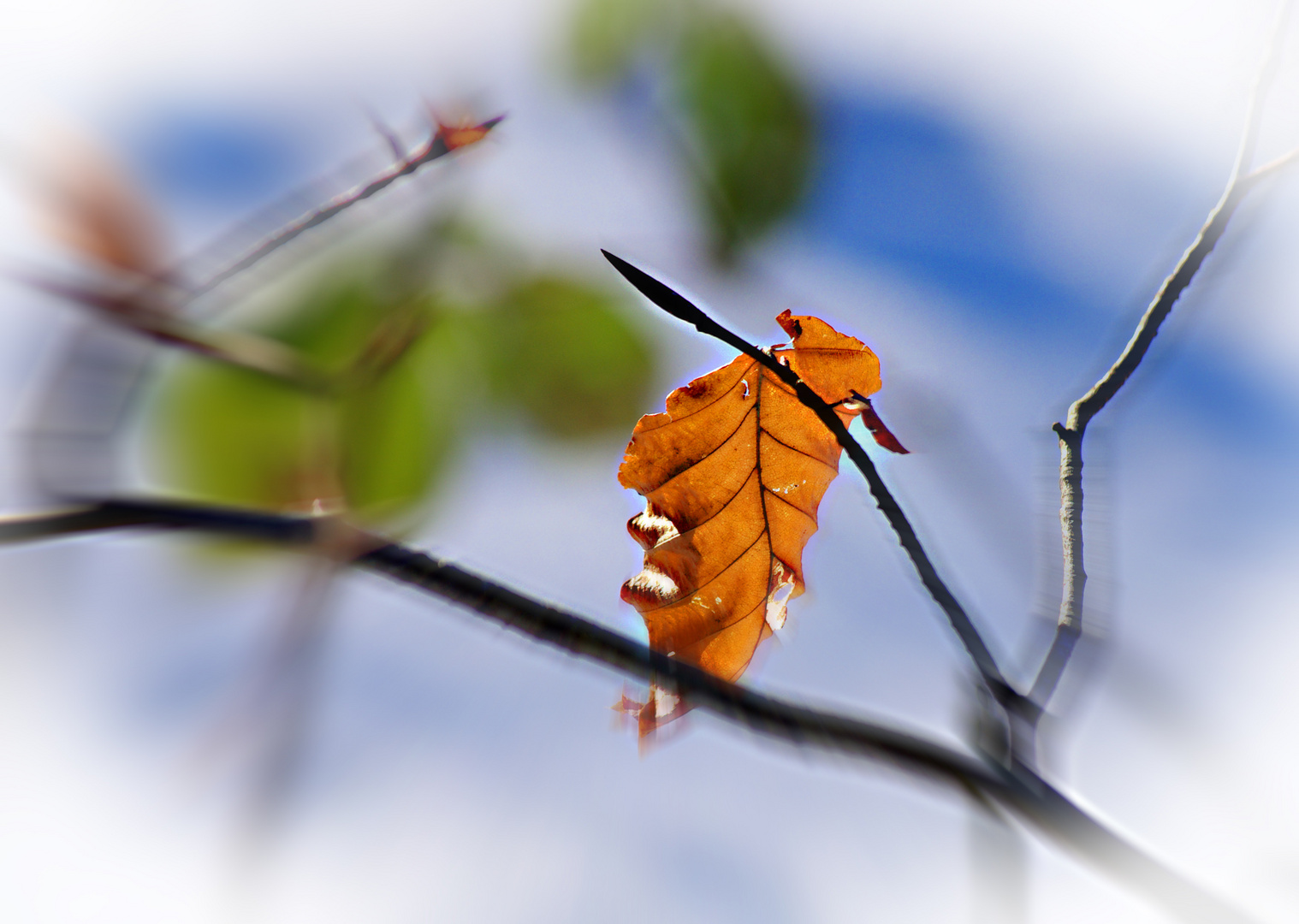 Das Blatt ist ausgereizt...