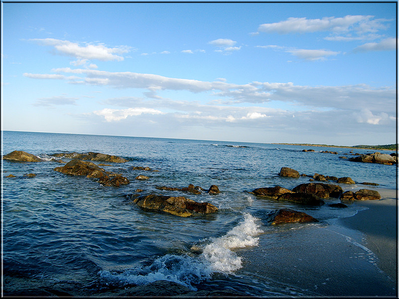 das blau der traumtänzer