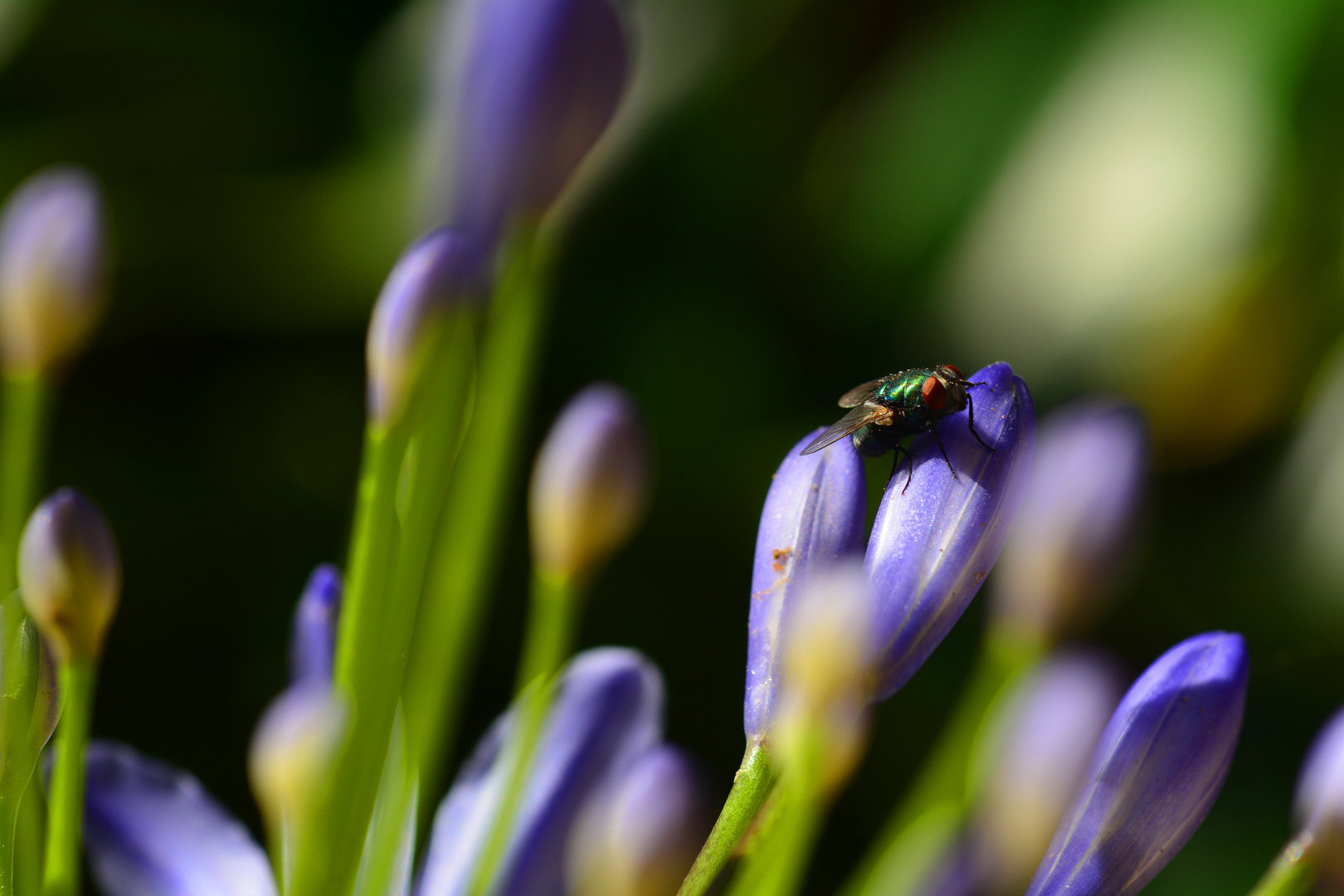 Das Blau des Himmels