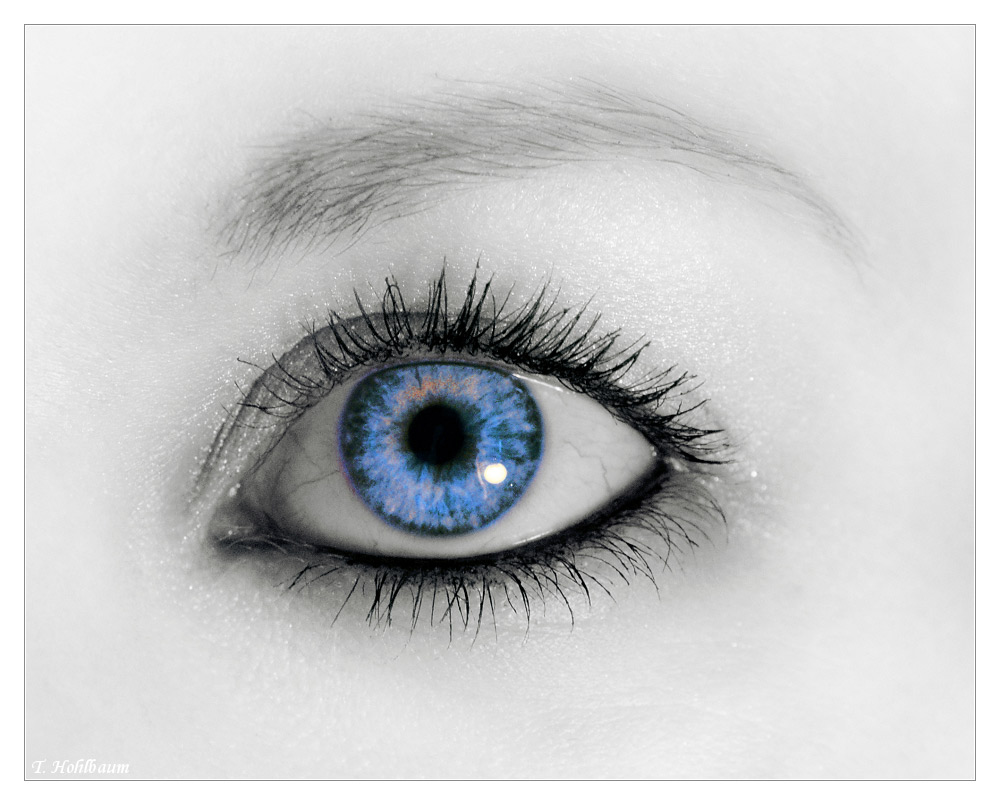 Das blaue Auge