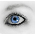 Das blaue Auge