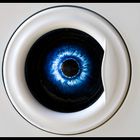 Das blaue Auge