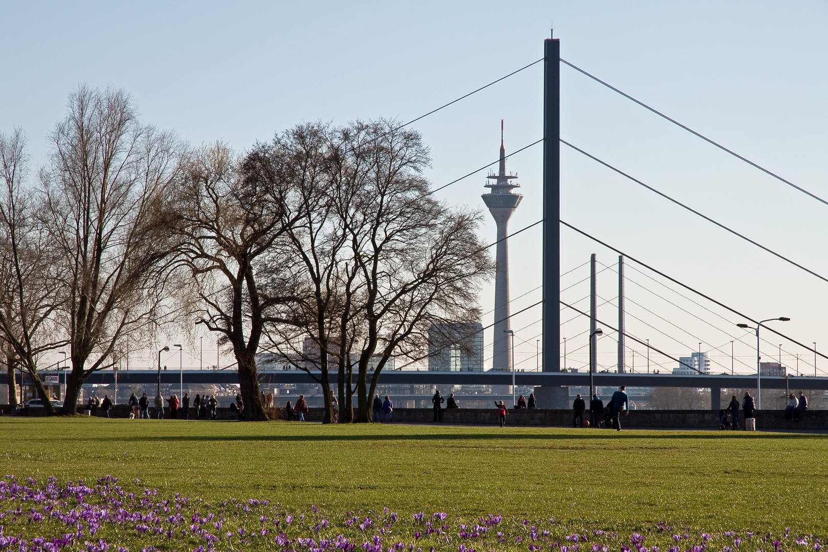 Das Blaue Band am Rhein dieses Frühjahr