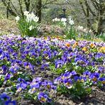 das blaue Band des Frühlings