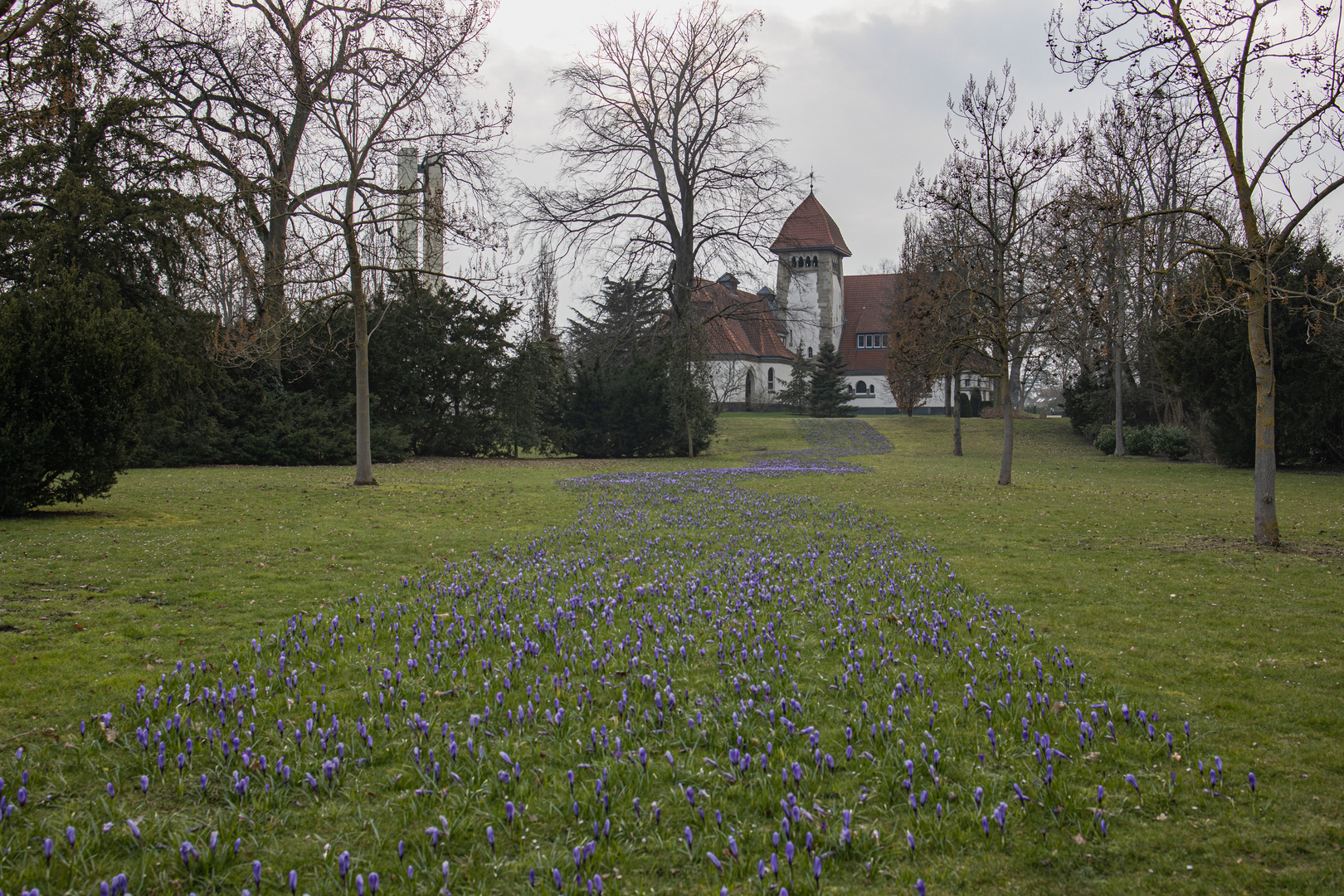 das blaue band