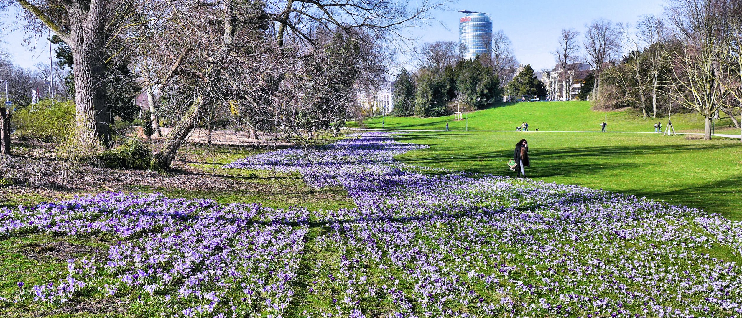 Das Blaue Band von Düsseldorf