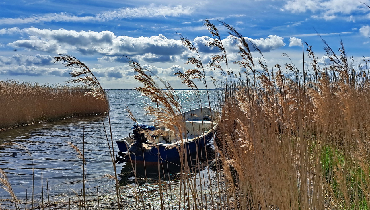 Das blaue Boot