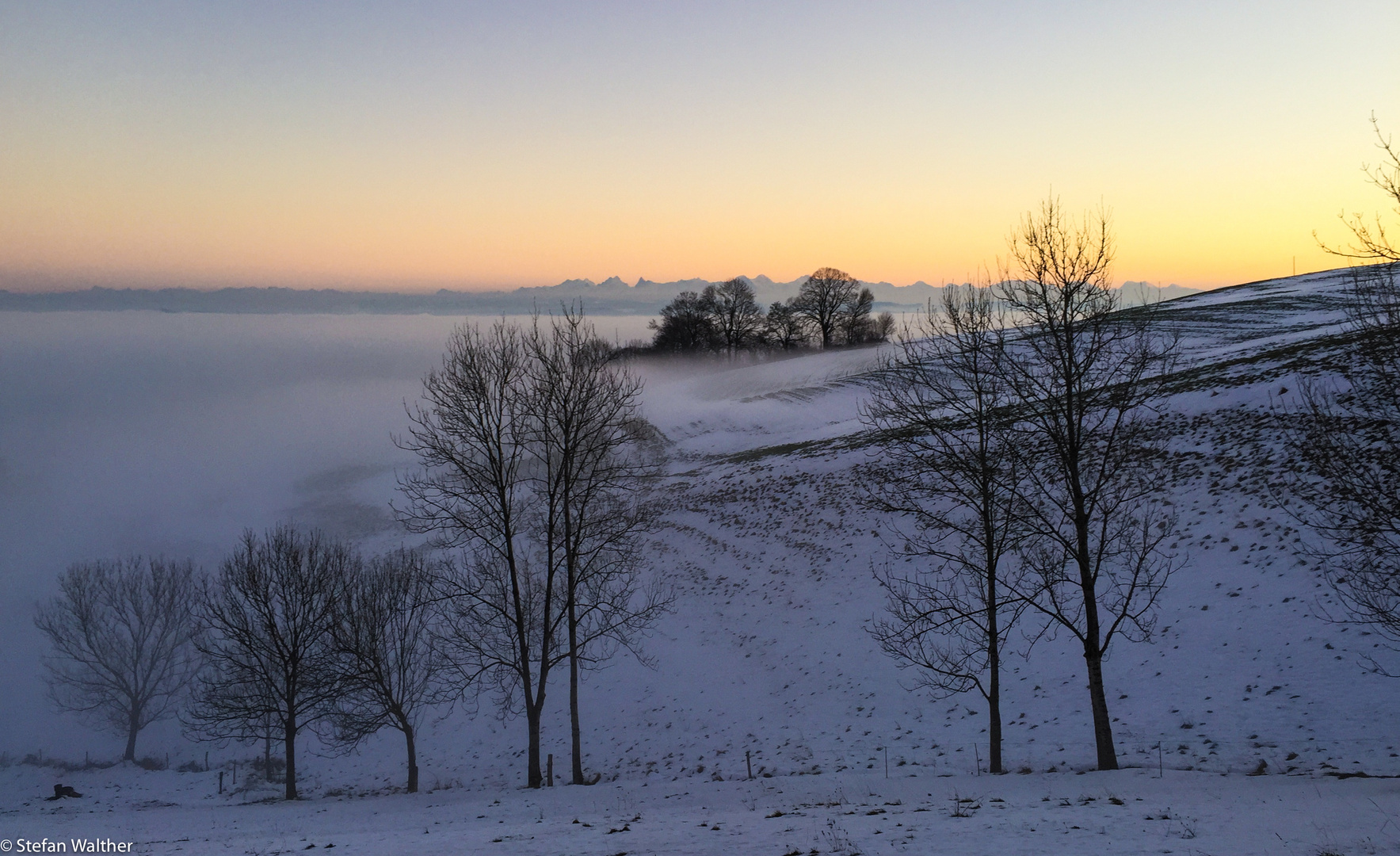 Das blaue Ende