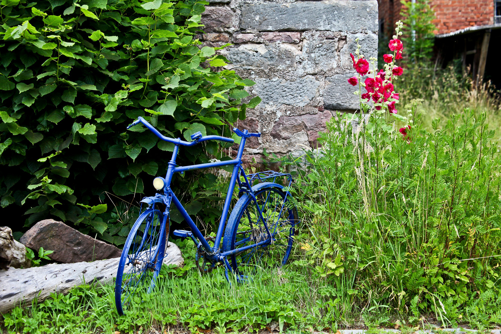 Das blaue Fahrrad