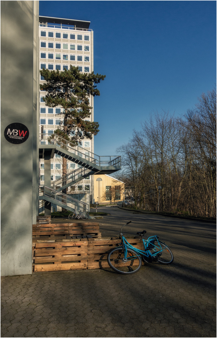 Das blaue Fahrrad