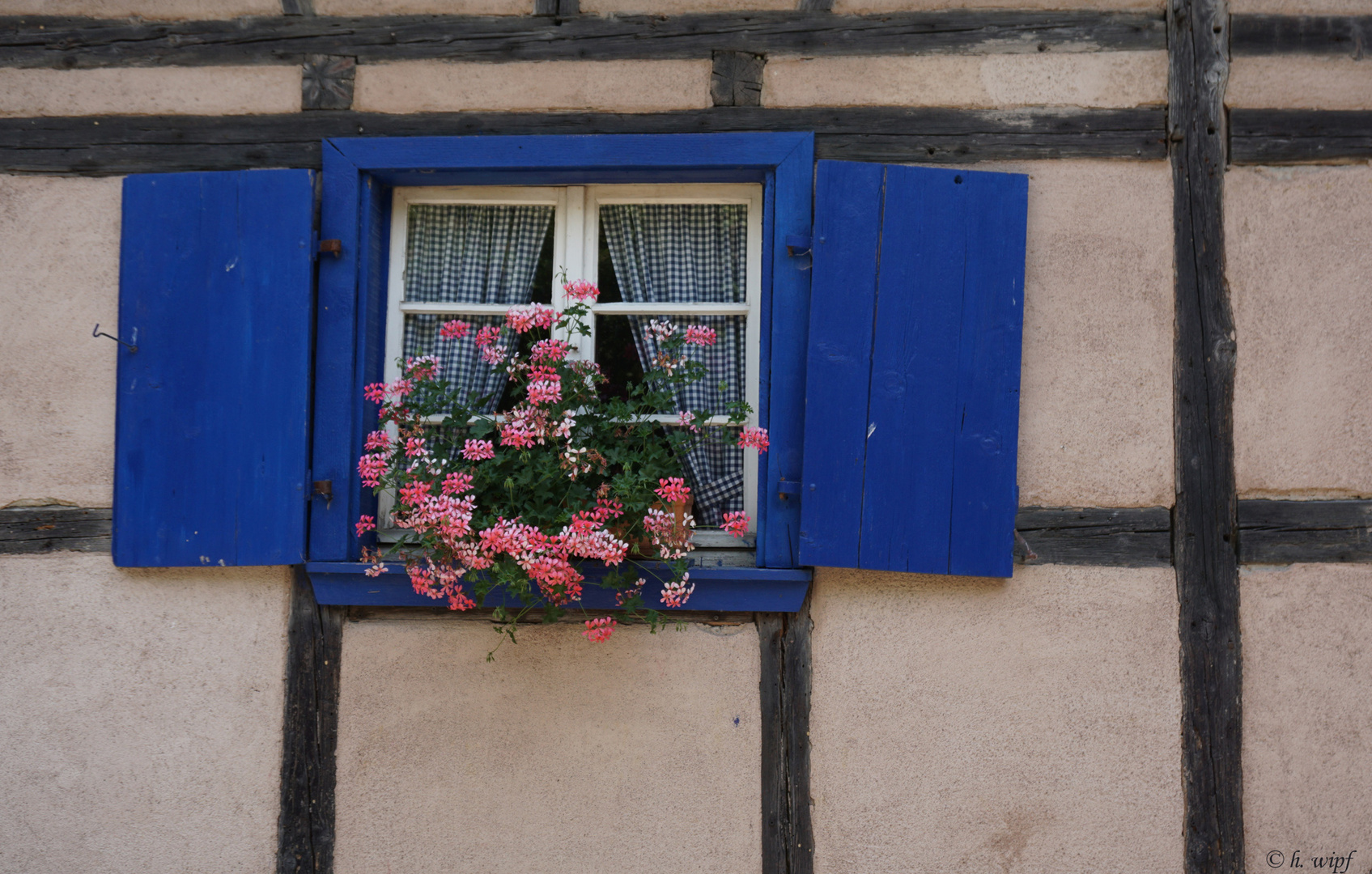 Das blaue Fenster