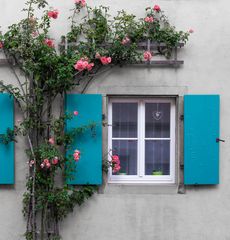 Das blaue Fenster