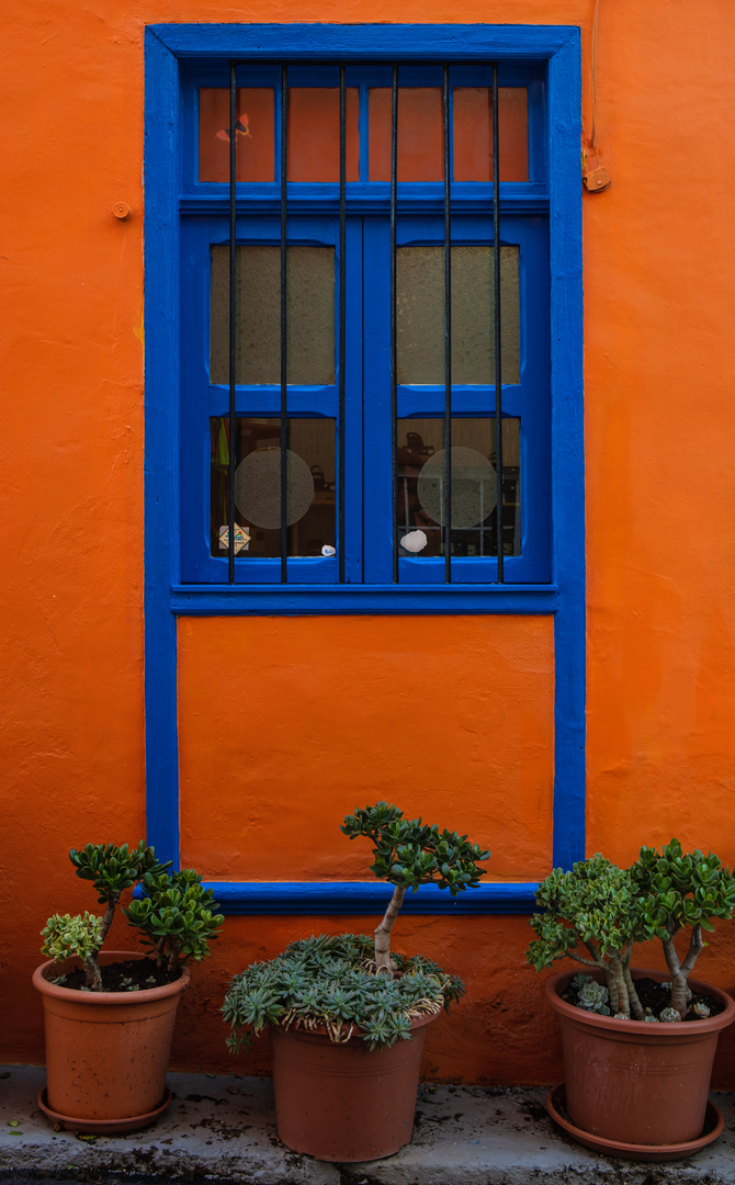 das blaue Fenster 