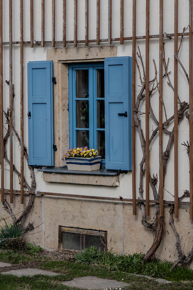 Das blaue Fenster