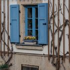 Das blaue Fenster