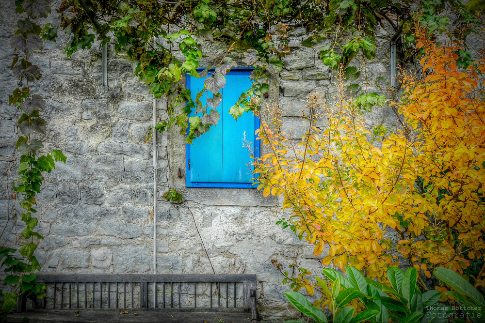 das blaue Fenster