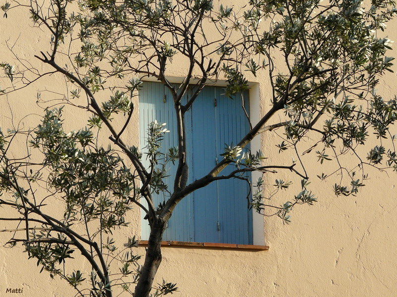 Das blaue Fenster