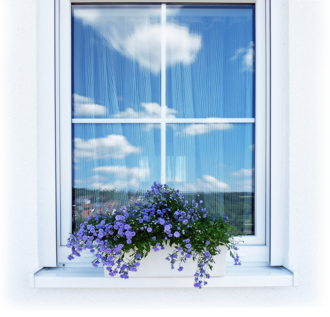 das blaue Fenster