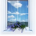 das blaue Fenster