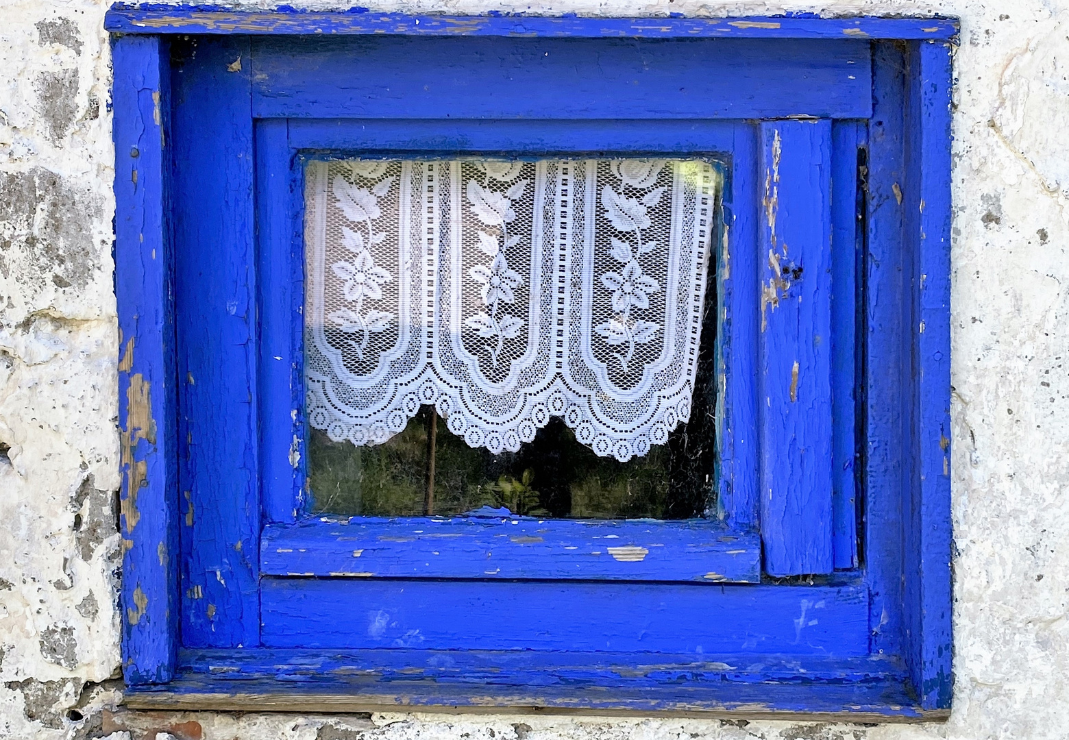 Das blaue Fenster