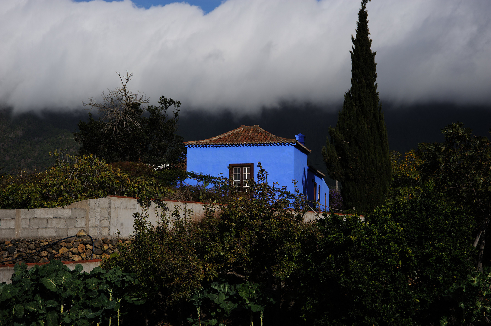 Das blaue Haus