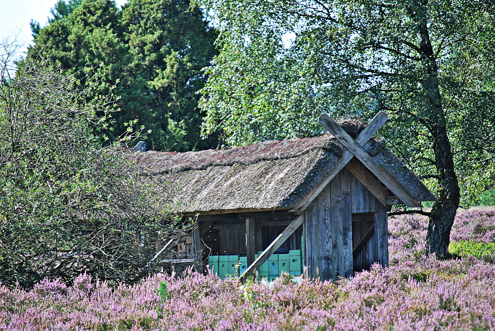 das blaue Haus...