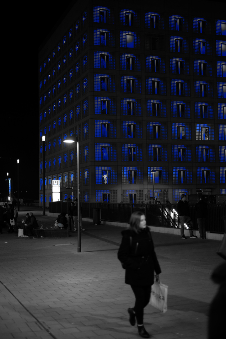 Das blaue Haus