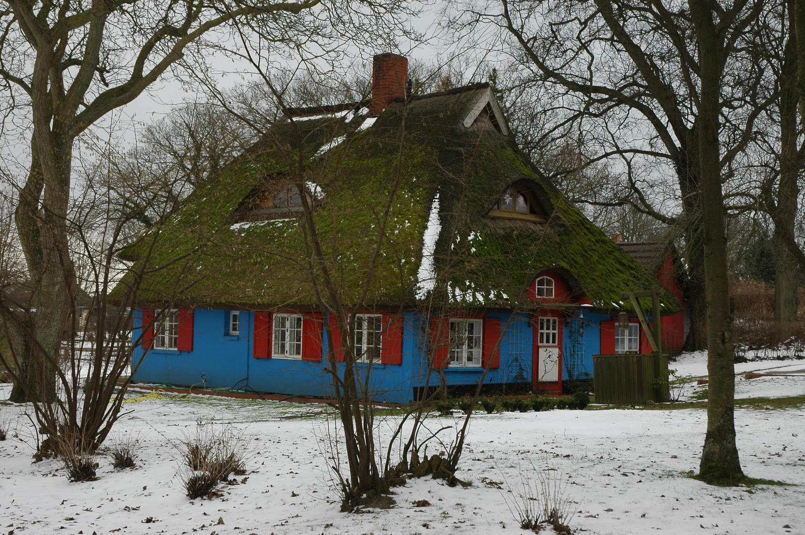 Das blaue Haus