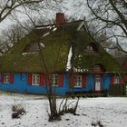 Das blaue Haus