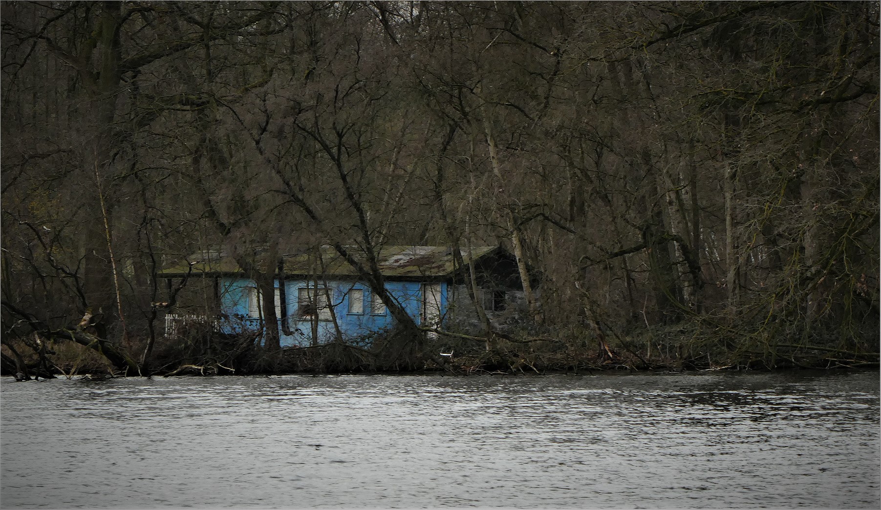 Das blaue Haus am Waldsee