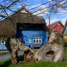 Das blaue Haus