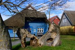 Das blaue Haus