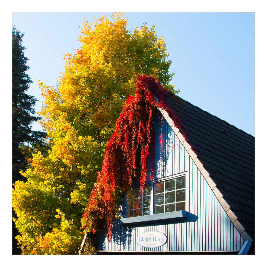 Das Blaue Haus im Herbst