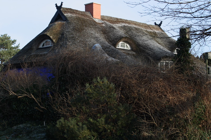 Das blaue Haus von hinten